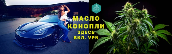 дживик Корсаков