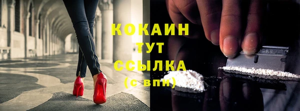 дживик Корсаков