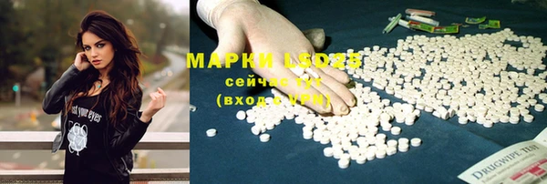 прущая мука Апатиты